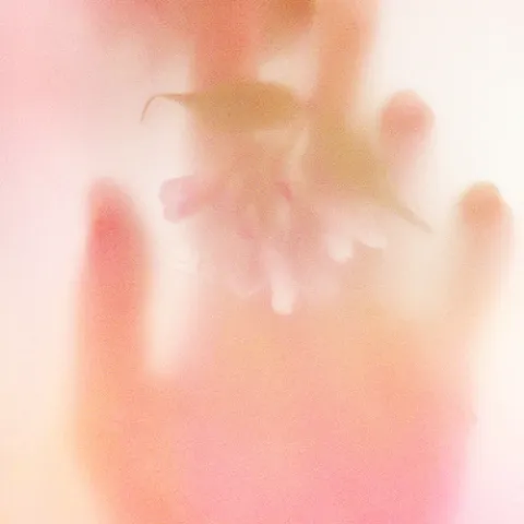 我恋爱了·2023歌词 - 火鸡 我喜欢你开始脸红了