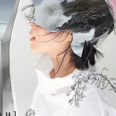 后来歌词 - 刘若英