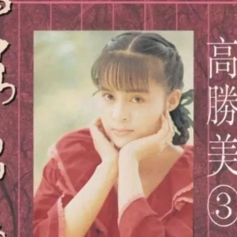 昨夜星辰 歌词 - 高胜美