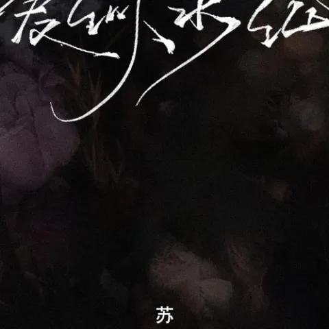 爱似水仙歌词 - 苏星婕 温柔女声版