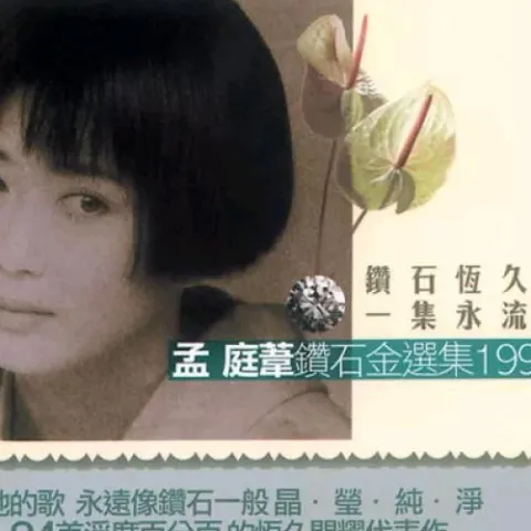 你看你看月亮的脸 歌词 - 孟庭苇