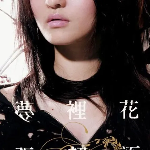 梦里花 歌词 - 张韶涵