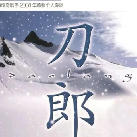 冲动的惩罚 歌词 - 刀郎