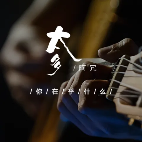 太多歌词 - 阿冗