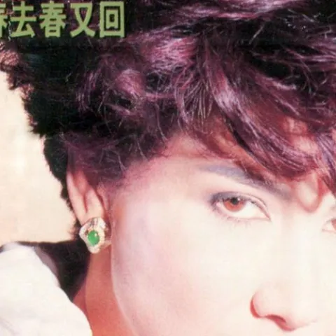 忘了你忘了我 (修复版)歌词 - 甄妮