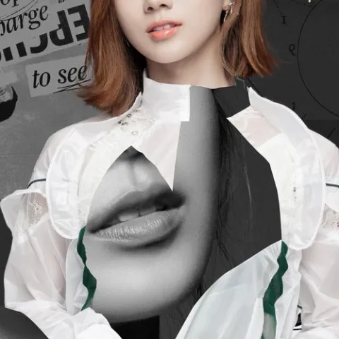  迷人的危险  歌词 - 蔡黄汝