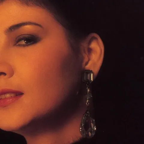 我曾用心爱着你歌词 - 甄妮