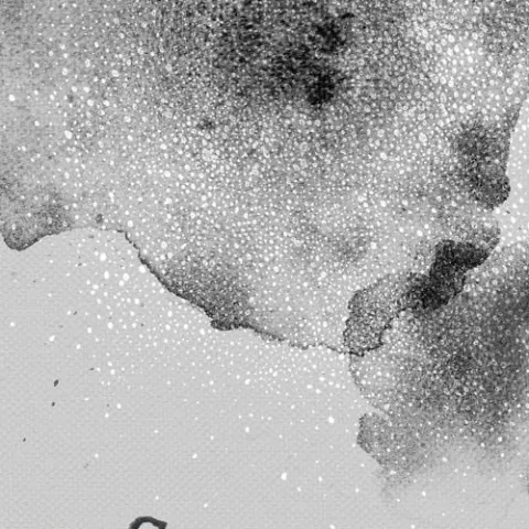 半句再见 歌词 - 孙燕姿