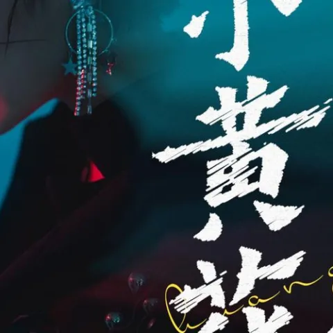 小黄花 歌词 - 花姐