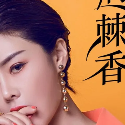 荆棘香 歌词 - 花姐  (Remix)