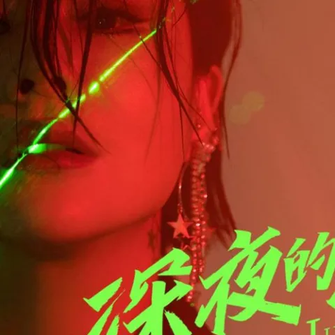 深夜的酒 歌词 - 花姐