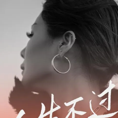 人生不过三杯酒 歌词 - 花姐