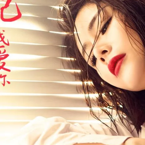 怎能忘记我爱你 歌词 - 花姐