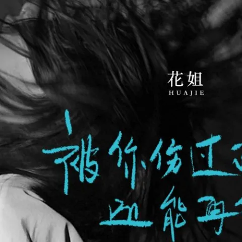 被你伤过的心还能再爱谁 歌词 - 花姐