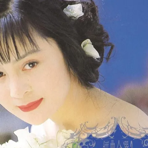 青青河边草 歌词 - 高胜美 电视剧《青青河边草》主题曲