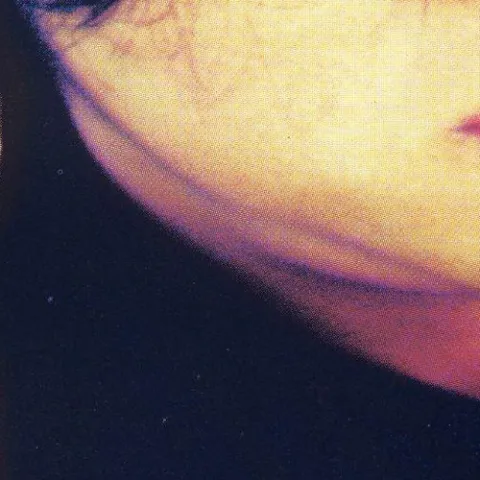 望乡歌词 - 郭富城