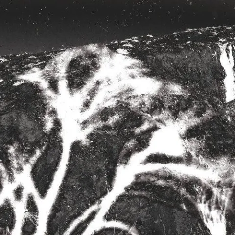 毛毛细雨里捂蚂蚱 歌词 - 苏阳 / 张佳乐