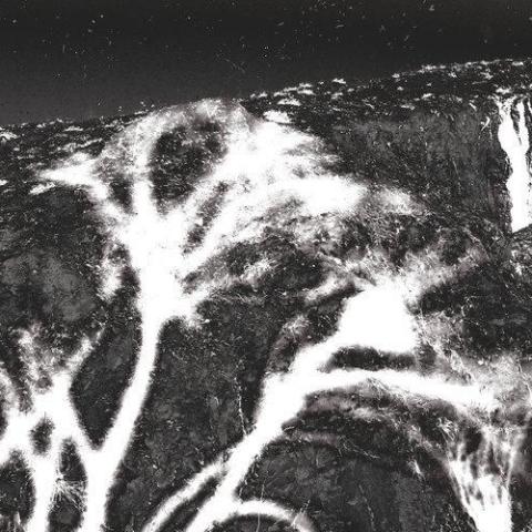 毛毛细雨里捂蚂蚱 歌词 - 苏阳 / 张佳乐