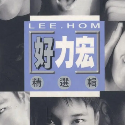 风中的遗憾歌词 - 王力宏