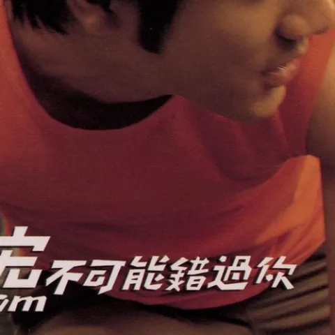 不可能错过你歌词 - 王力宏