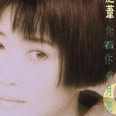 一个爱上浪漫的人 歌词 - 孟庭苇