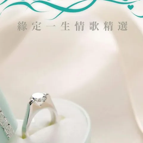 你是我心内的一首歌 歌词 - 王力宏 / 任家萱