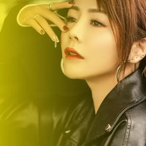 不求 歌词 - 花姐