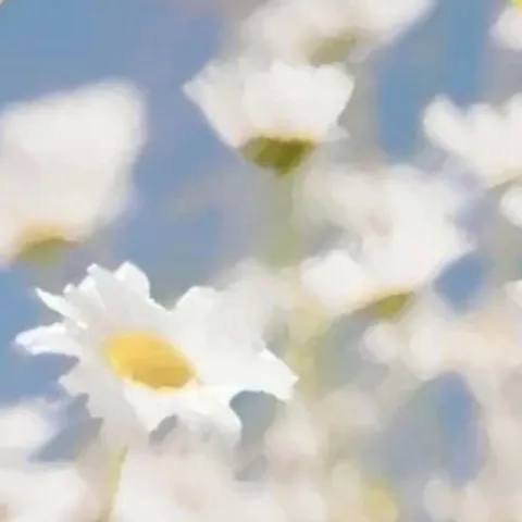 喜欢 歌词 - 阿肆