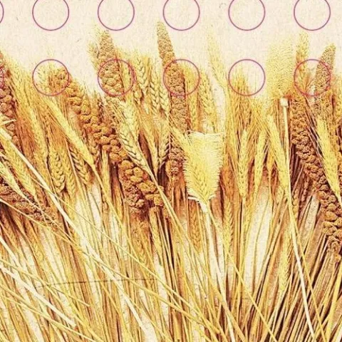 那些花儿 歌词 - 朴树 电影《那时花开》片尾曲