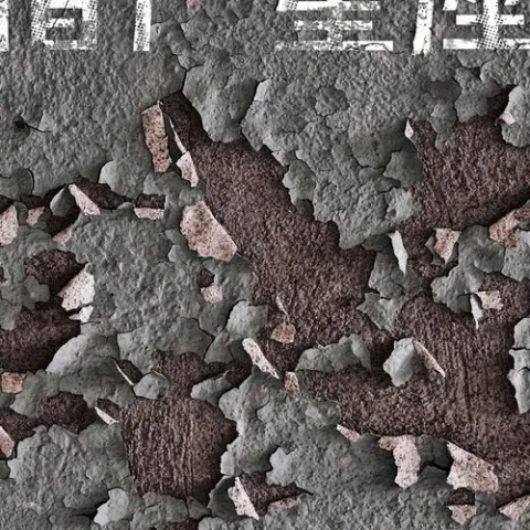 清白之年 歌词 - 朴树