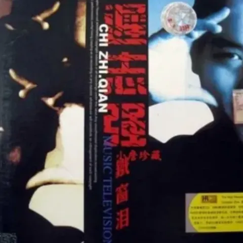 十不该歌词 - 迟志强