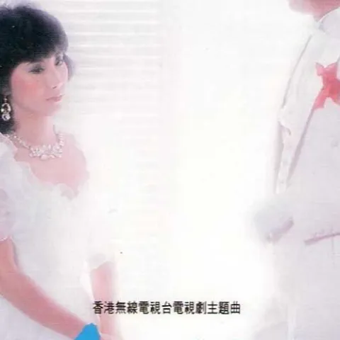 红梅颂歌词 - 汪明荃