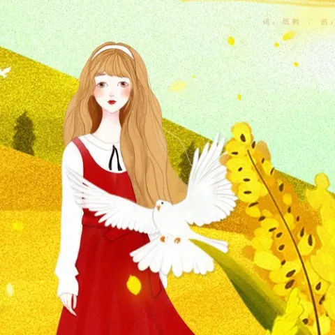 白鸽与乌鸦 歌词 - 一桶