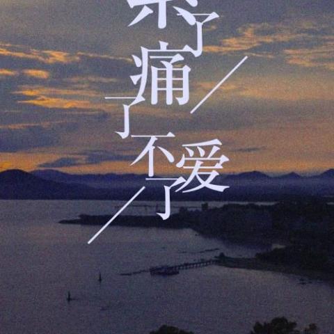 累了痛了不爱了歌词 - 怪阿姨