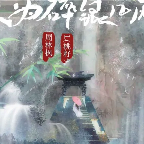 只为碎银几两歌词 - 周林枫/L（桃籽）