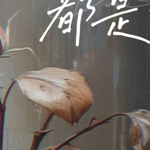 光盛开不盛开都是花歌词 - 何雅楠