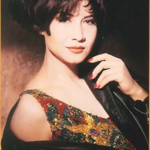 再度孤独歌词 - 甄妮