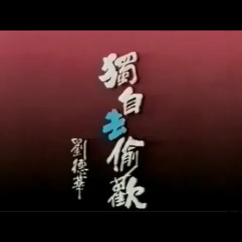 独自去偷欢歌词 - 刘德华