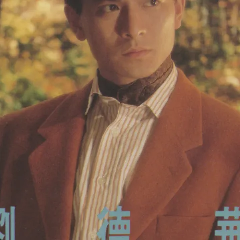 我和我追逐的梦歌词 - 刘德华 电影《庙街十二少》国语主题曲