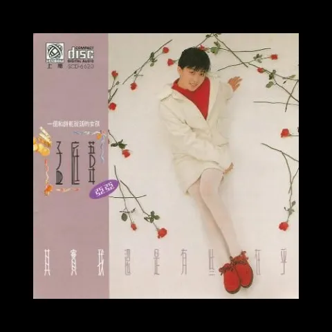 实我还是有些在乎 歌词 - 孟庭苇