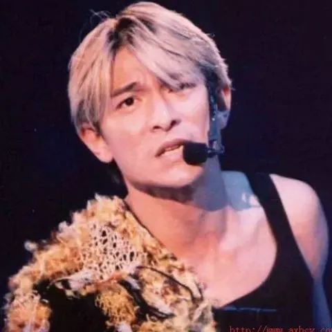 十二个为什么 歌词 - 刘德华 