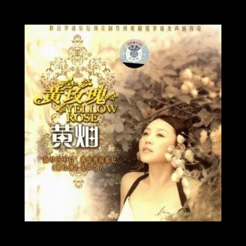 黄玫瑰歌词 - 黄灿