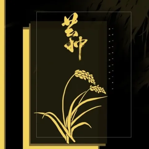  芒种 歌词 - 赵方婧/腾格尔