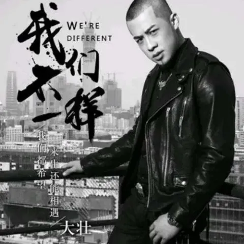 我们不一样歌词 - 大壮