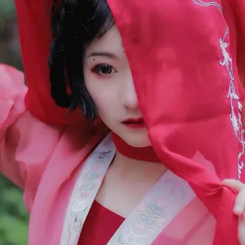 长安忆 歌词 - 一颗狼星_许篮心