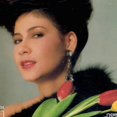 忍痛说谎歌词 - 甄妮