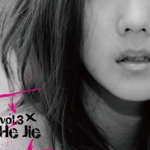 你是我的风景 歌词 - 何洁