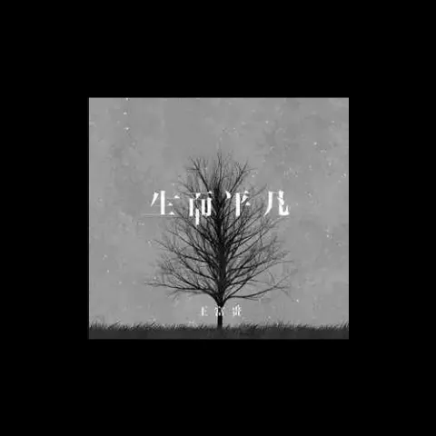 生而平凡 歌词 - 王富贵