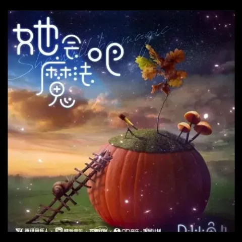 她会魔法吧歌词 - DJ小鱼儿