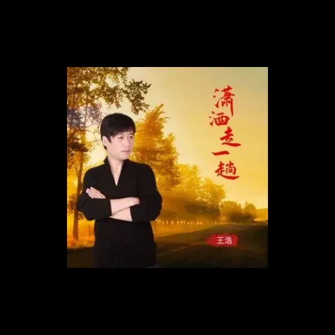 潇洒走一趟 歌词 - 王浩